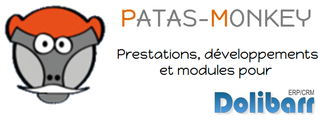 Patas-Monkey
